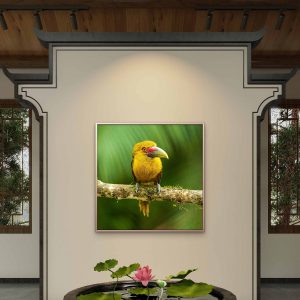 Araçari-banana na Mata Atlântica – Fotografia Fine Art por Renato Matera