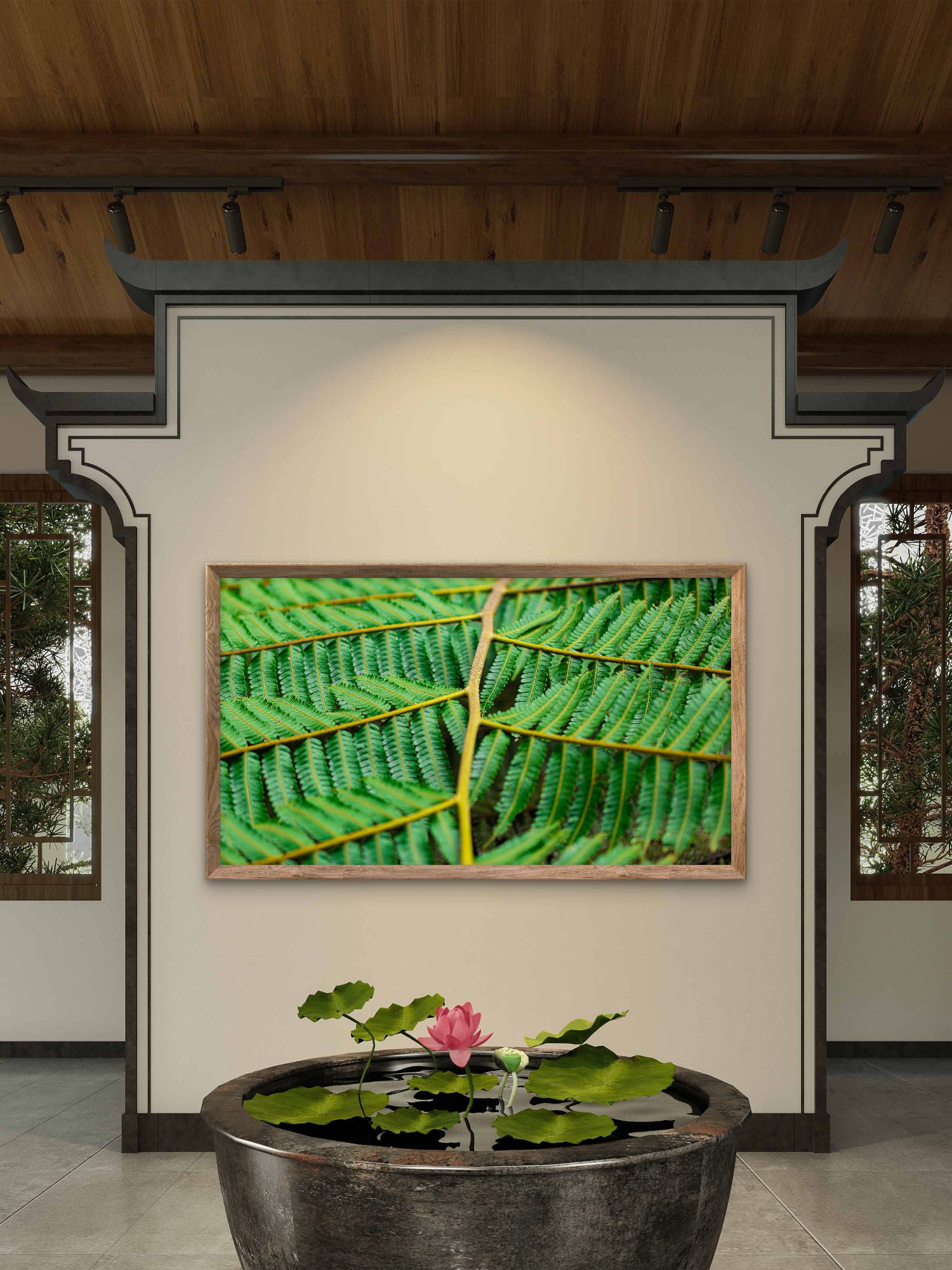 Samambaia-açu em macro