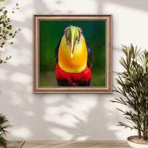 Retrato da Mata Atlântica - Tucano-de-bico-verde