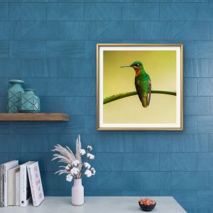 Leveza e Intensidade da Mata Atlântica - Beija-flor-rubi