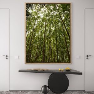 Verticalidades - Verticalidade Verde