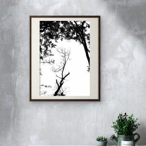 Verticalidades - Silhuetas do Pantanal