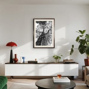 Verticalidades - Tronco do Cerrado