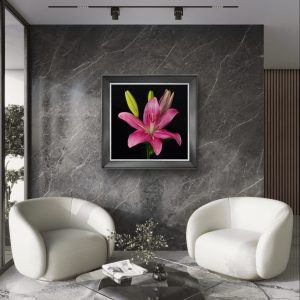 Lírio Vermelho em Fundo Negro