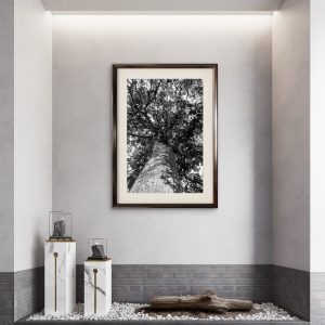 Verticalidades - Raiz Que Toca o Céu