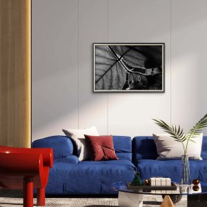 Texturas do Cerrado - Luz e Estrutura